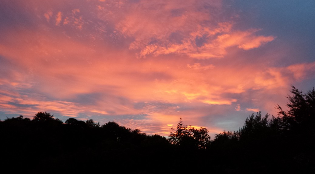 Sunset at Knole Park